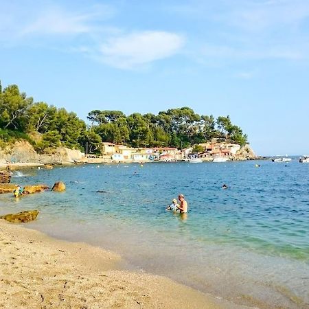 T2 Cosy Toulon, Proche Plage Exterior photo